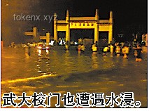 武大校门被淹一米深：城市内涝现象解析